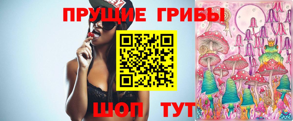 Тельмана  Псилоцибиновые грибы Cubensis  Вход с VPN 
